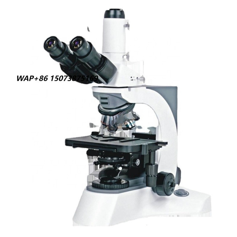 Polarizing Microscope Binocular - Mikroskop Biologi Binokuler Fluoresen Terbalik Digital